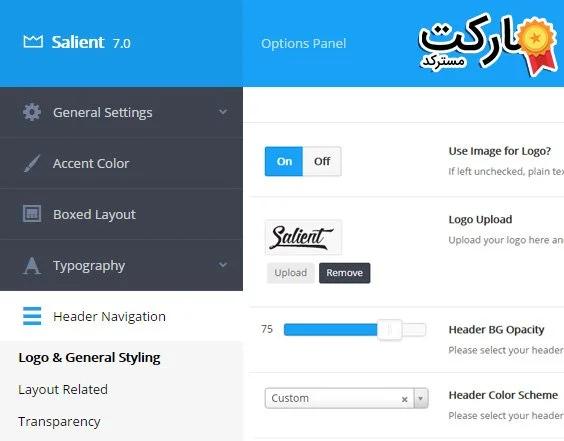 پنل تنظیمات قالب Salient برای وردپرس