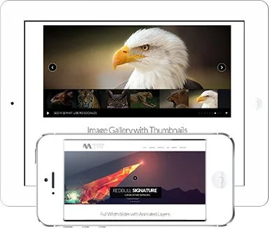 واکنشگرایی افزونه Master slider برای وردپرس