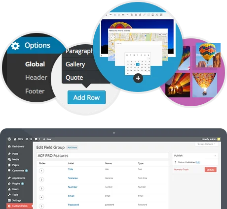 امکانات اختصاصی افزونه ACF Pro