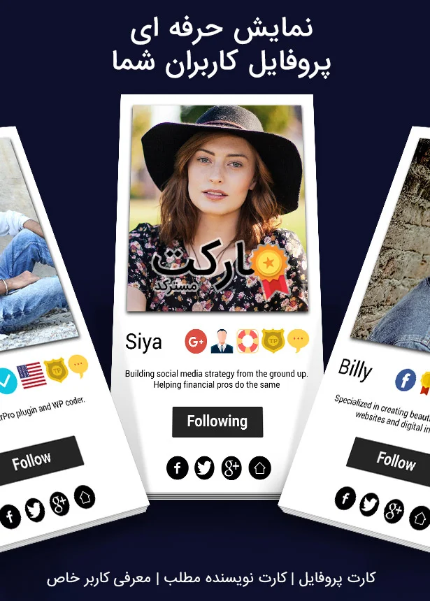 امکان نمایش پروفایل کاربران در افزونه UserPro