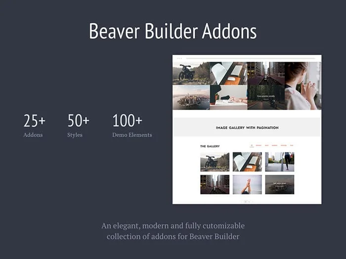 افزونه Addons for Beaver Builder Pro محصول livemeshthemes