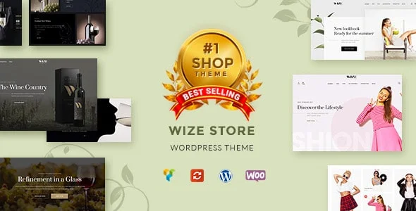 دانلود قالب WizeStore - قالب فروشگاهی وردپرس