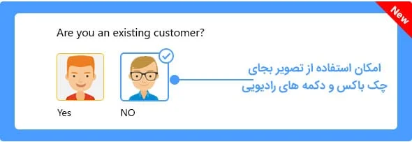 امکان استفاده از تصاویر بجای چک باکس و دکمه رادیویی