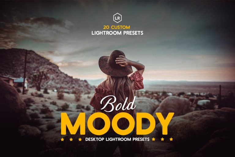 دانلود Bold Moody Lightroom Presets - پریست لایت روم