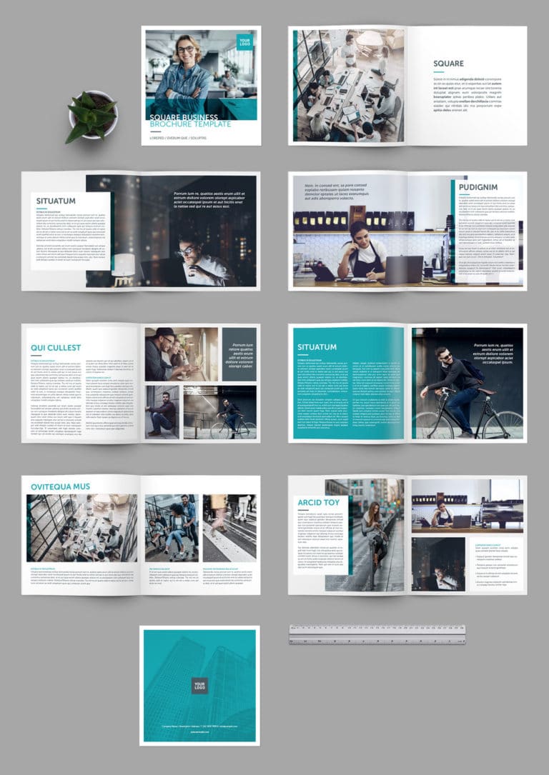 دانلود Square Brochure Layout with Teal Accents - بروشور مربعی