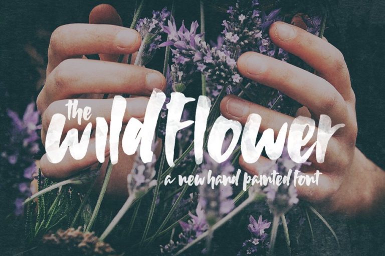 دانلود Wildflower Font - فونت وایلد فلاور
