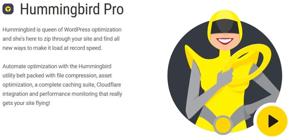 دانلود افزونه WPMU DEV Hummingbird Pro برای وردپرس