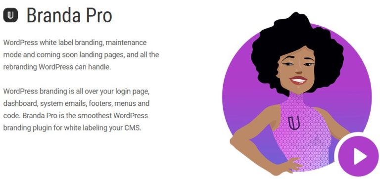 دانلود افزونه WPMU DEV Branda Pro برای وردپرس