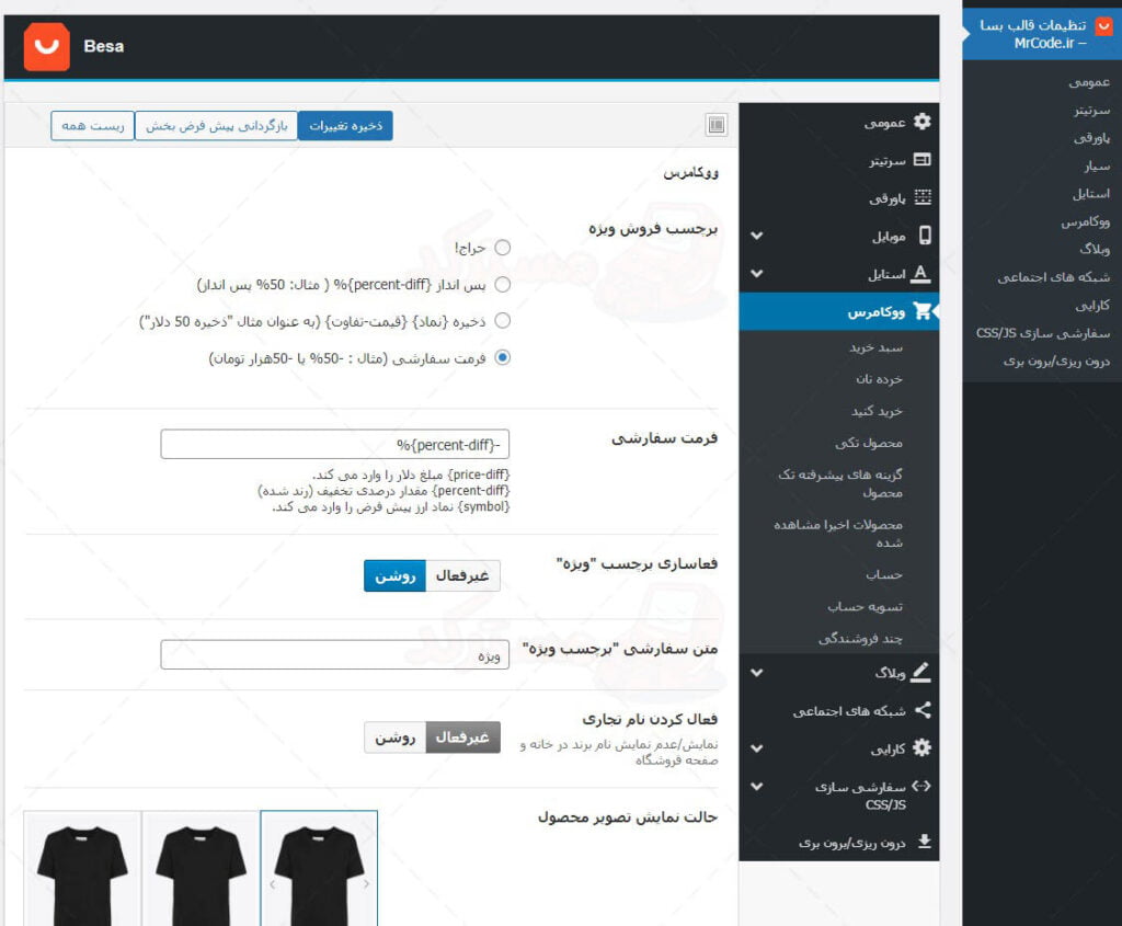 ترجمه فارسی قالب بسا besa