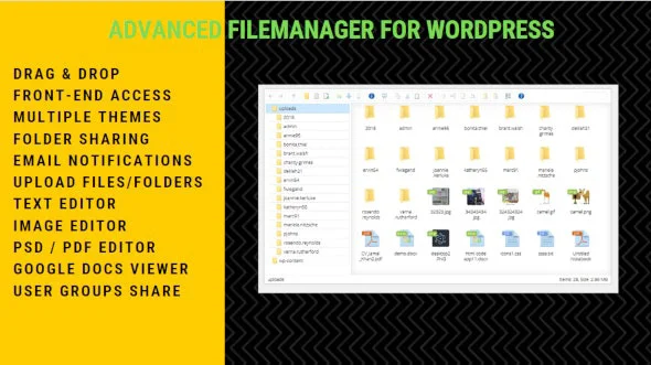 دانلود افزونه Advanced File Manager برای وردپرس