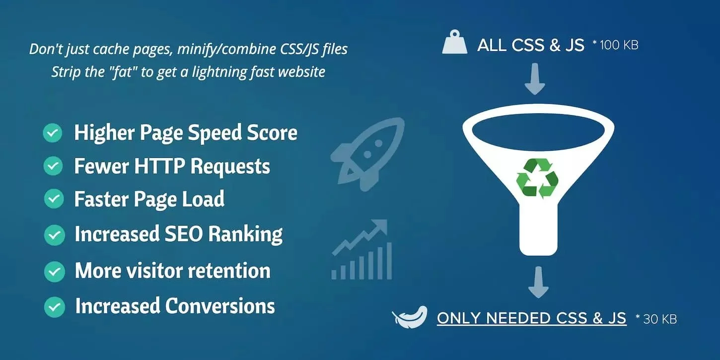 دانلود افزونه Asset CleanUp Pro برای وردپرس