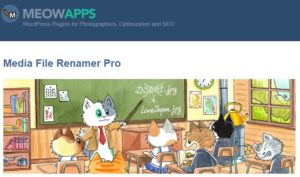 دانلود افزونه Media File Renamer Pro برای وردپرس