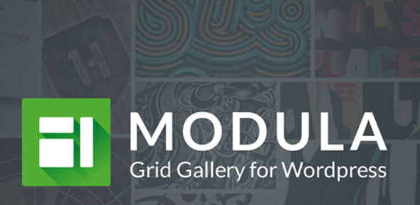 دانلود افزونه Modula Pro برای وردپرس