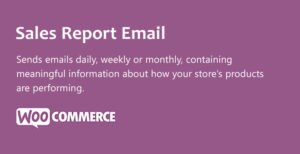 دانلود افزونه WooCommerce Sales Report Email