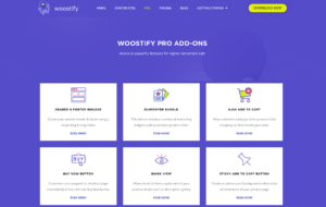 دانلود قالب Woostify Pro برای وردپرس
