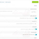 ترجمه فارسی قالب بی بی استریت / ترجمه فارسی قالب راست چین babystreet