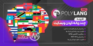 دانلود افزونه Polylang Pro برای وردپرس
