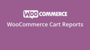 دانلود افزونه WooCommerce Cart Reports