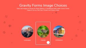 دانلود افزونه Gravity Forms Image Choices
