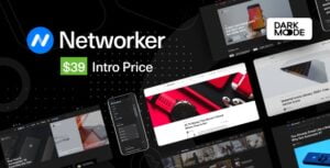 دانلود قالب Networker برای وردپرس