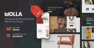 دانلود قالب Molla راست چین برای وردپرس