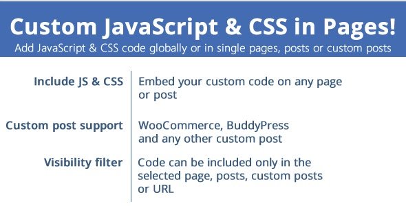 دانلود افزونه Custom JavaScript & CSS in Pages برای وردپرس