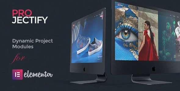 دانلود ادآن Projectify برای المنتور