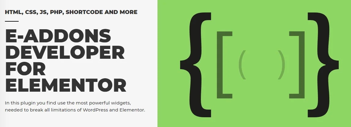 دانلود افزونه E-Addons DEVELOPER برای المنتور